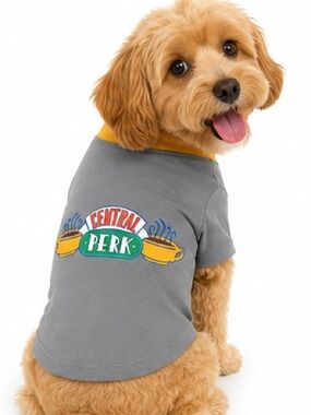 NEW - Friends “Central Perk” Dog Pet T-Shirt Gray Yellow Size Medium M